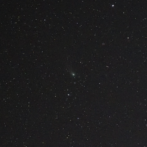 2月20日のZTF彗星 (C\2022 E3)