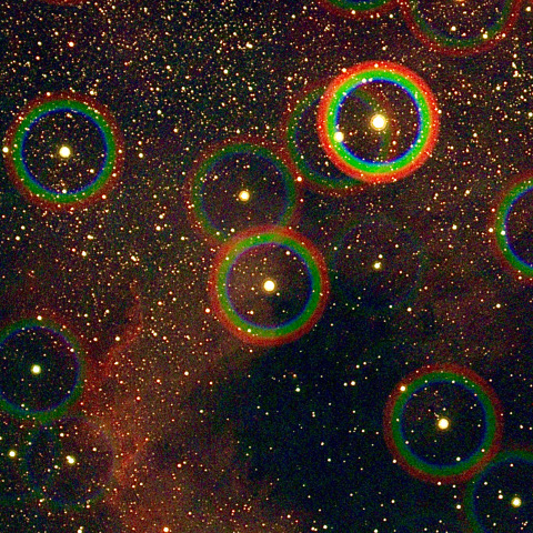 同心円回折格子による北アメリカ星雲付近の星々のスペクトル