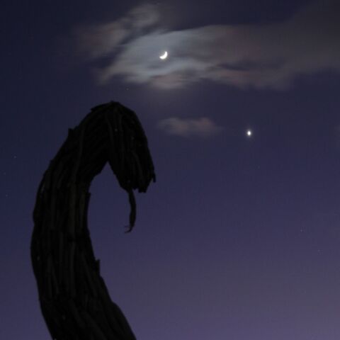 巳年の土星・月・金星