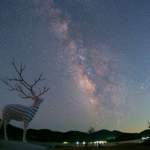 ホワイトディアと天の川