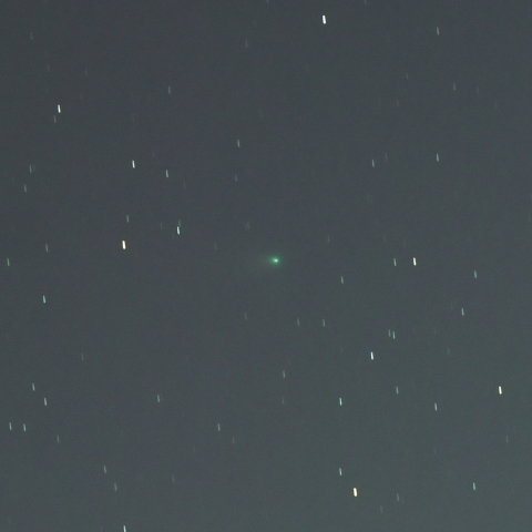 C/2024 E1  ビエシュホシュ彗星