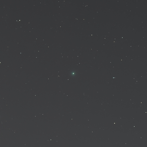 220P マクノート彗星