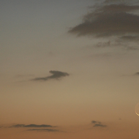 月・火星・水星 の接近