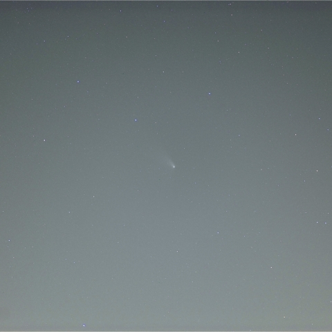 パンスターズ彗星