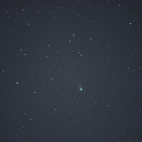 ラブジョイ彗星