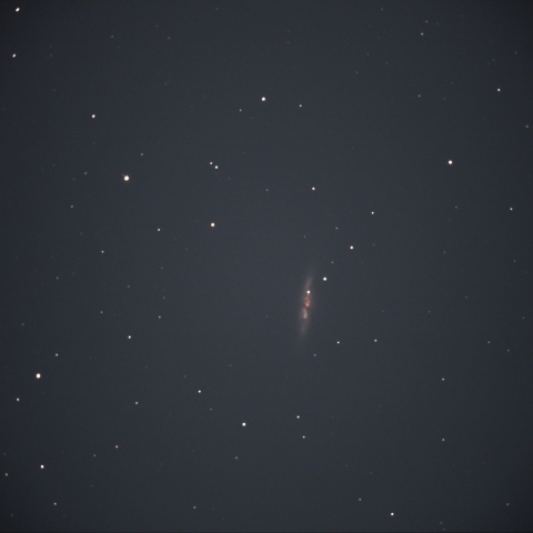 M82 の 超新星