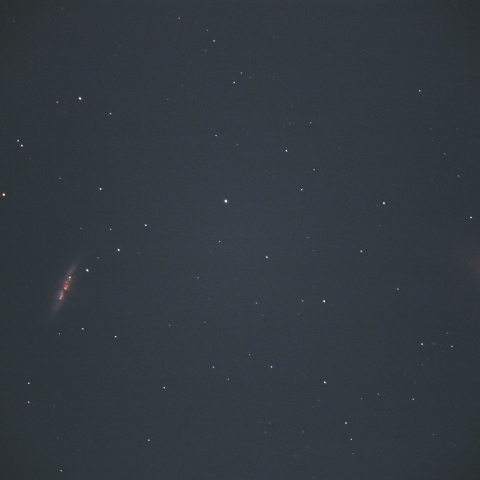M82 の 超新星