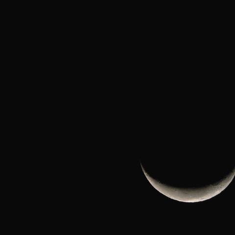 月と金星の接近