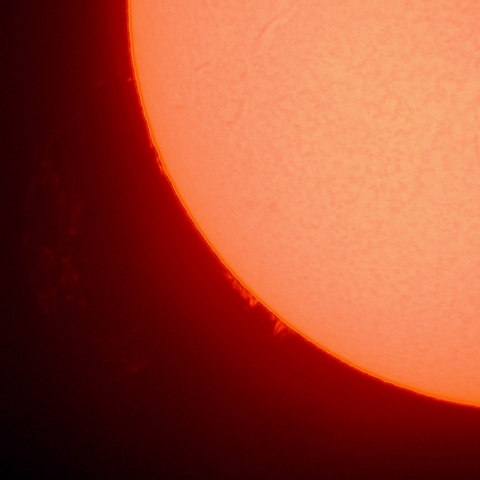 1/31 の太陽 (プロミネンス)