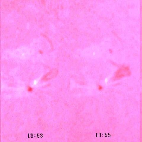 小規模フレアーとダークフィラメントの変化