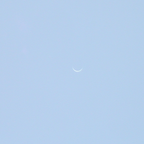 太陽面通過１０日前の金星