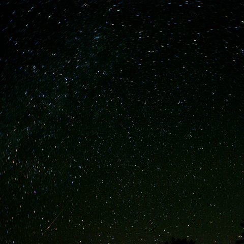 オリオン座流星群