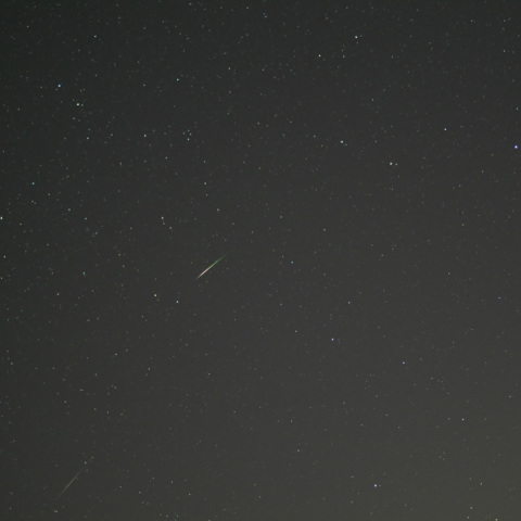 しし座流星群2009