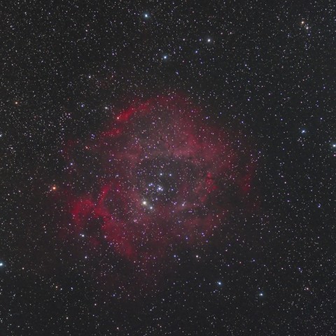 フジX-E1によるバラ星雲