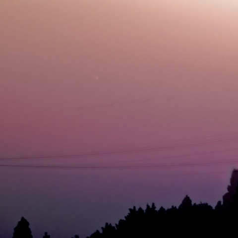 捉えたパンスターズ彗星