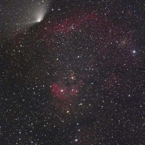 Ced214とパンスターズ彗星