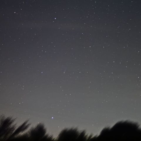 固定撮影によるアイソン彗星