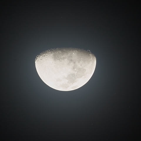 すばる食　2010年1月25日