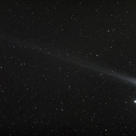 ラブジョイ彗星