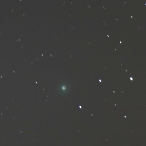 池谷・村上彗星