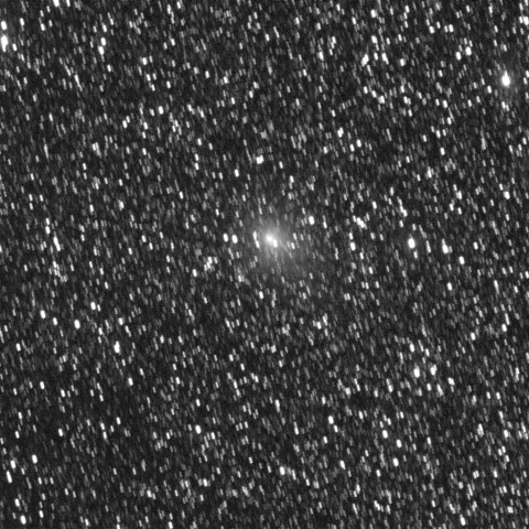 天の川を北上するマックノート彗星(C/2009 K5)