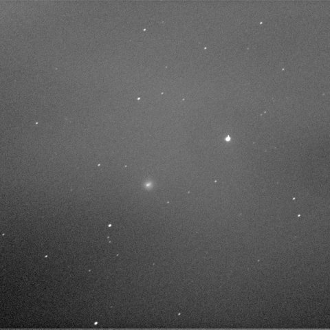 11/5未明の池谷・村上彗星(C/2010　V1)