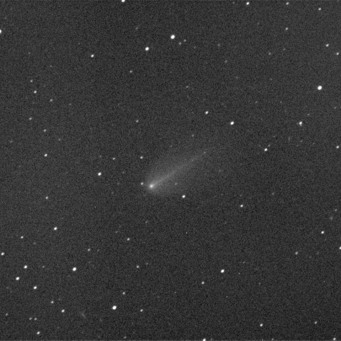 11/13早朝の池谷-村上彗星(C/2010　V1)