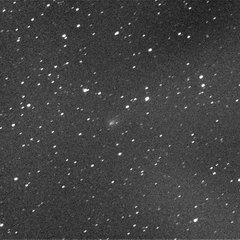 12/11早朝の池谷-村上彗星(P/2010 V1)