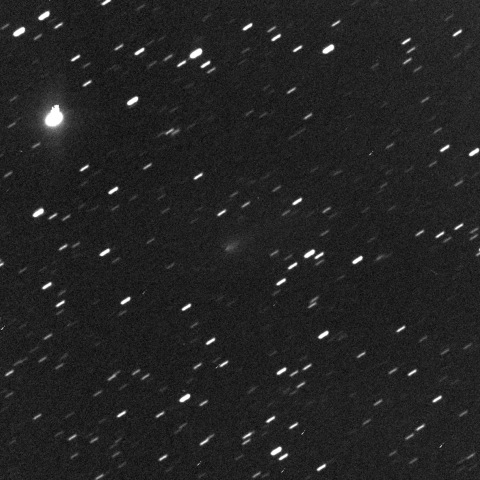 12/19早朝の池谷・村上彗星(P/2010 V1)