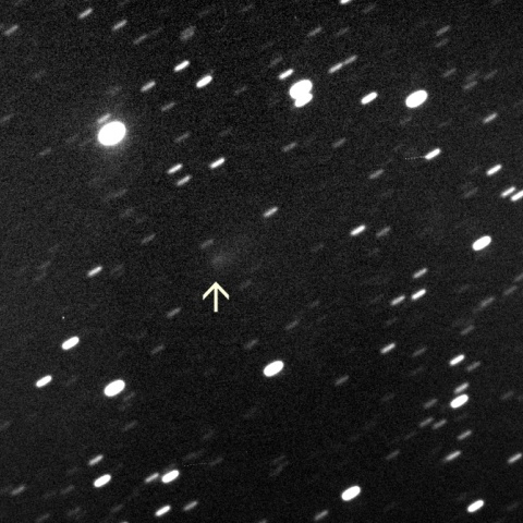 12/30早朝の池谷・村上彗星(P/2010 V1)