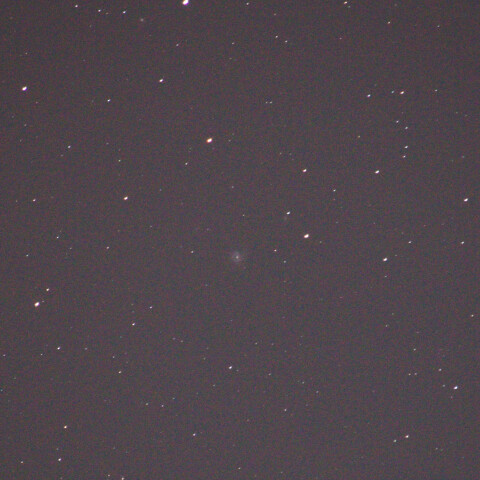 M61