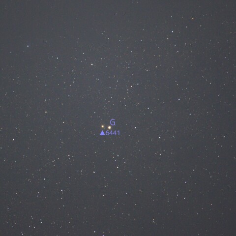 NGC6441