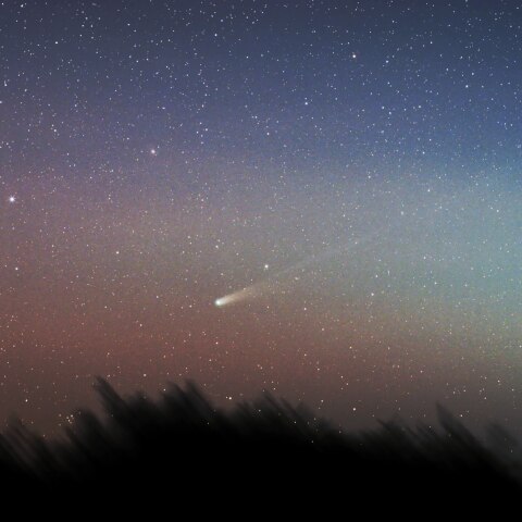 夕空のLemmon(2025 A6)