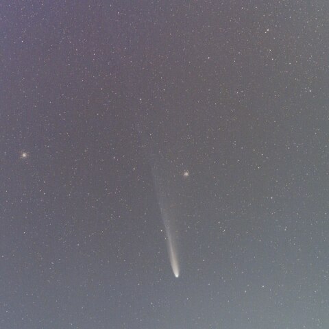 11/4　月夜のLemmon彗星(C/2025 A6)