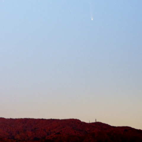 11/4　月夜のLemmon彗星(C/2025 A6)　その２