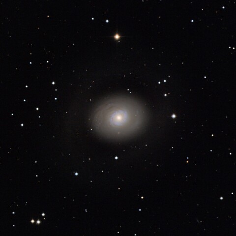 M94