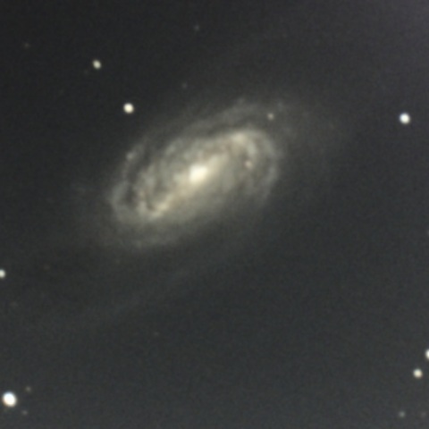 NGC2903銀河