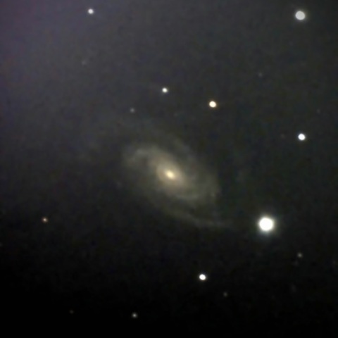 NGC3338銀河