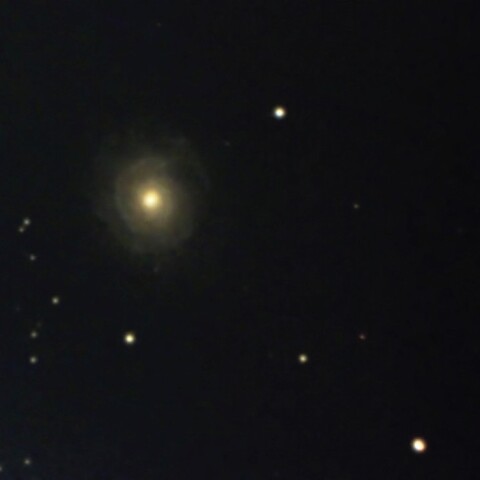 NGC3147