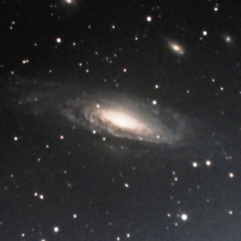 NGC7331