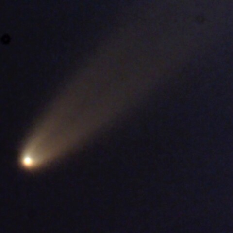 紫金山・アトラス彗星