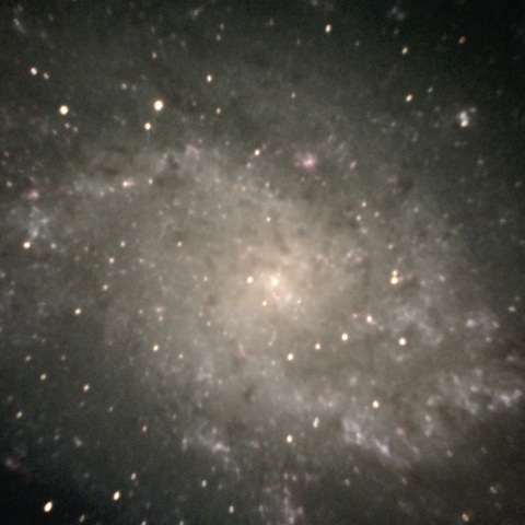M33
