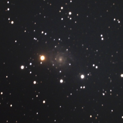 IC239