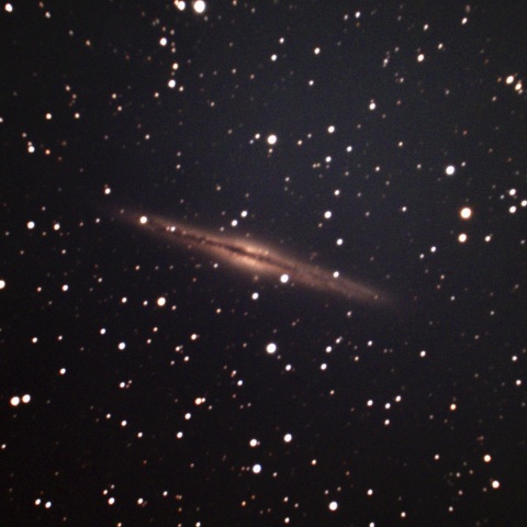 NGC891