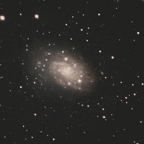 NGC2403
