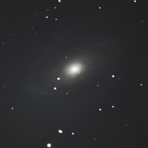 M81