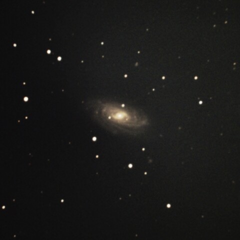 NGC3953