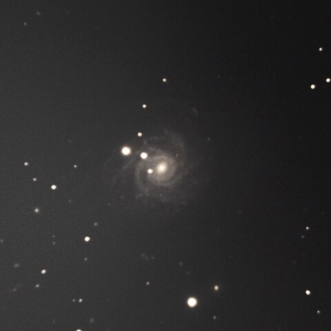 NGC3344