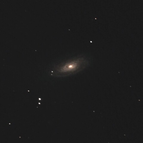 M88