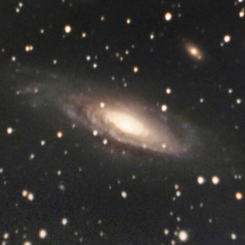 NGC7331
